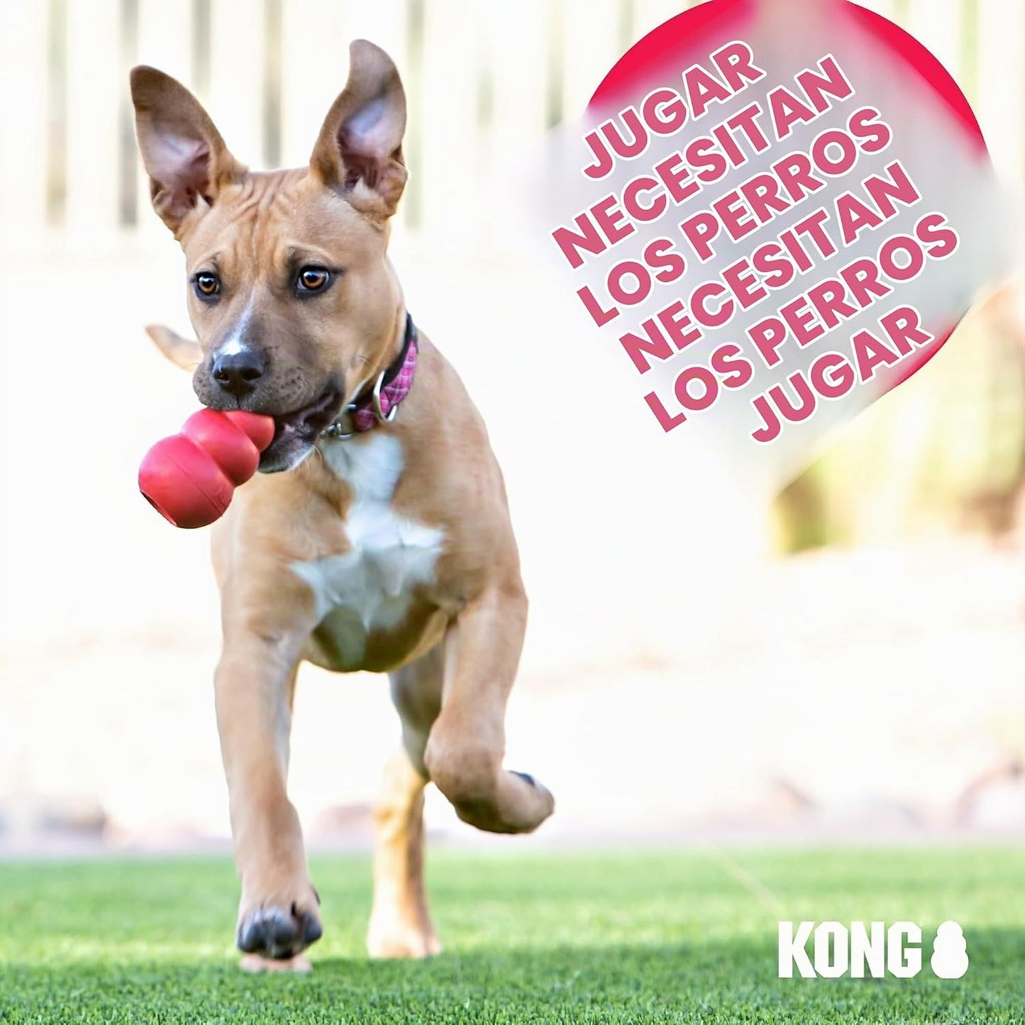 Juguete masticable clásico KONG para perros - Juguete para buscar y...