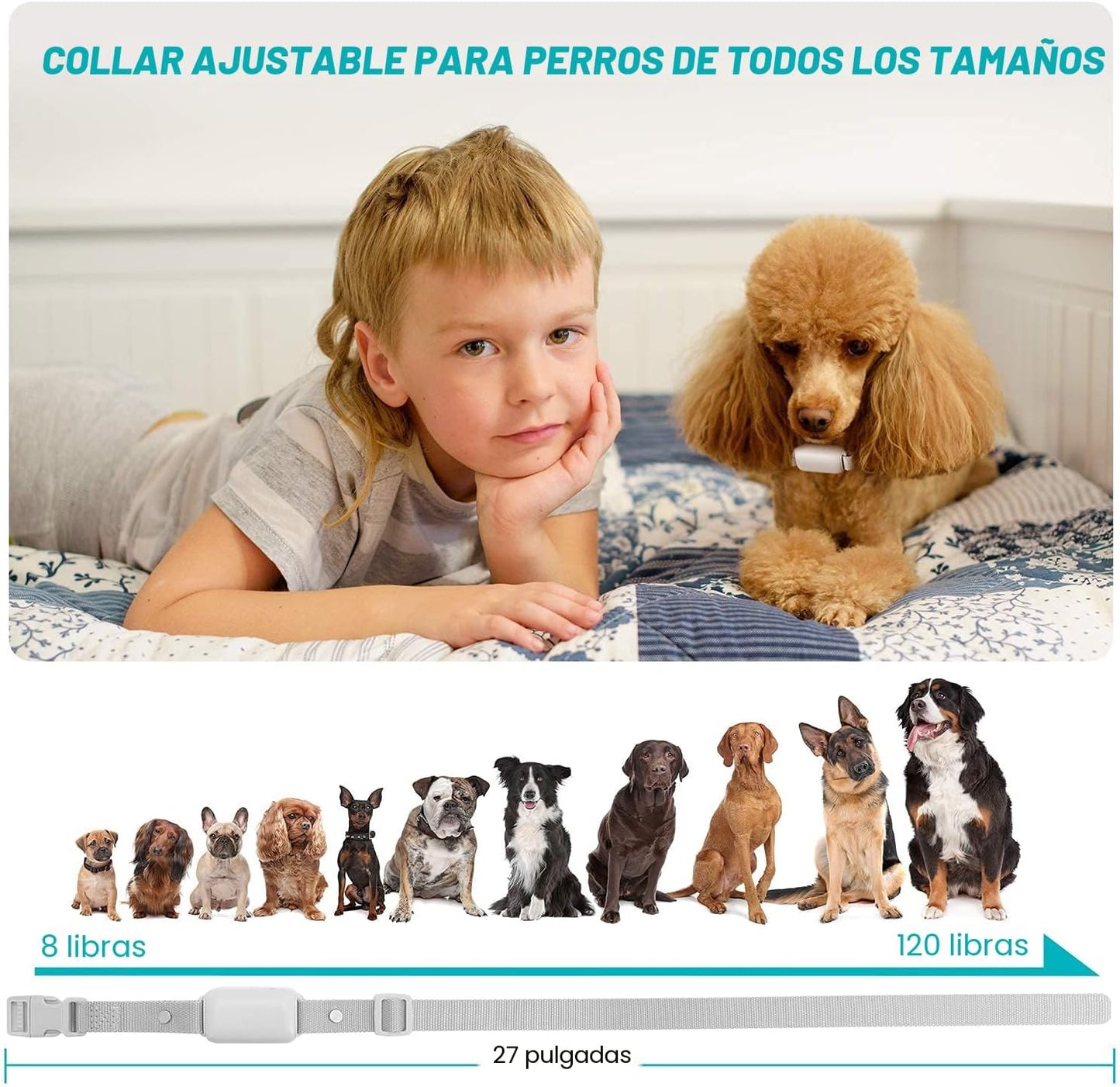 Bousnic Collar de Descarga para Perros \u2013 Collar de Entrenamien...