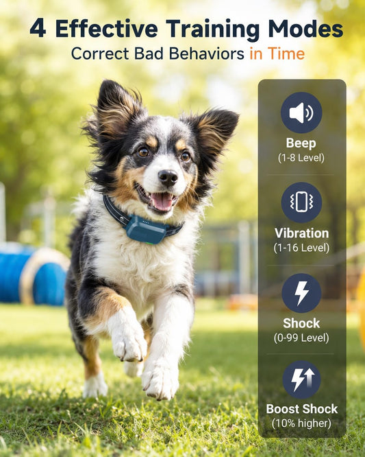 Collar de entrenamiento para perros para 2 perros con control remot...
