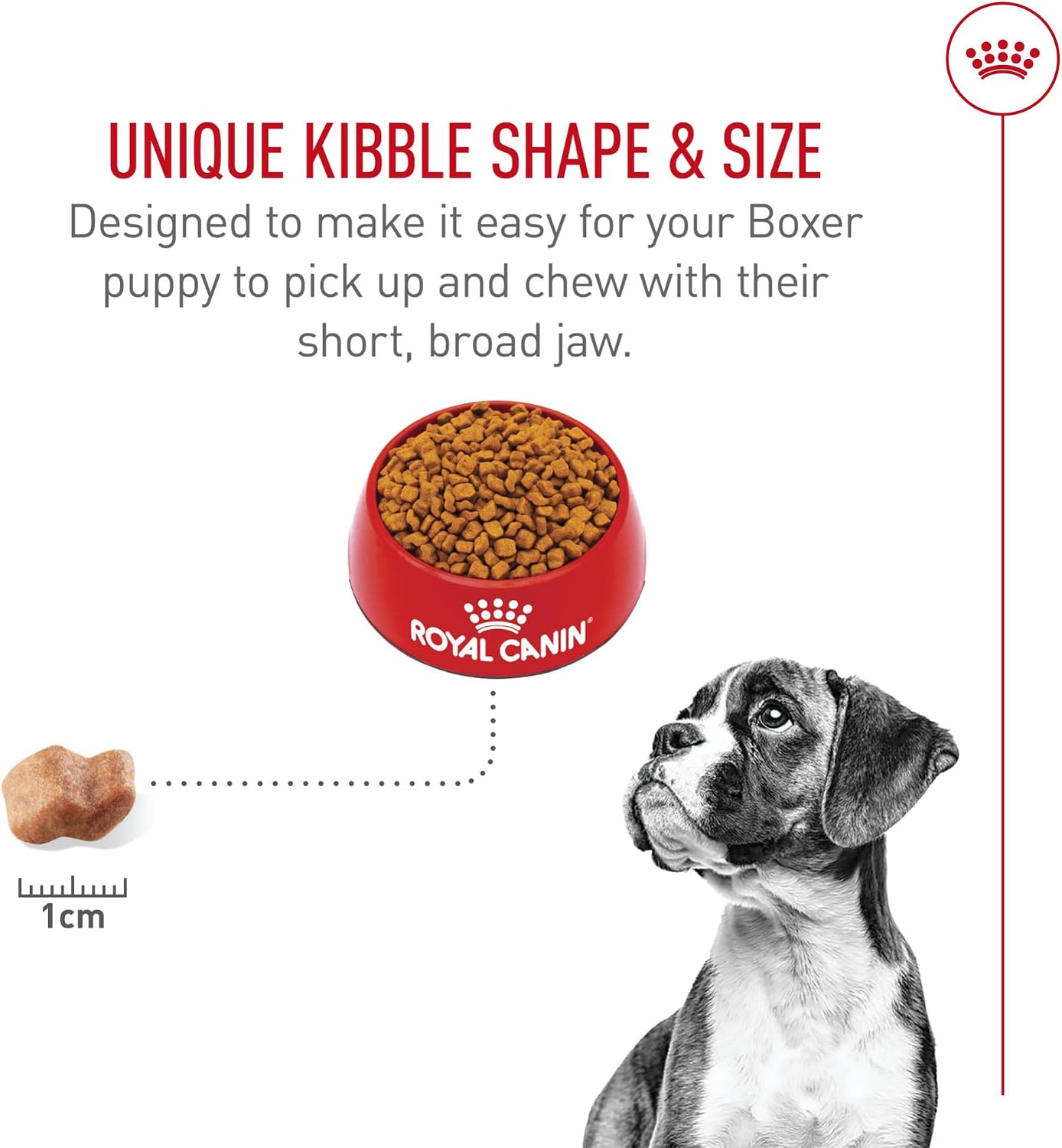 ROYAL CANIN Boxer Puppy - Alimento seco para perros, bolsa de 30 li...