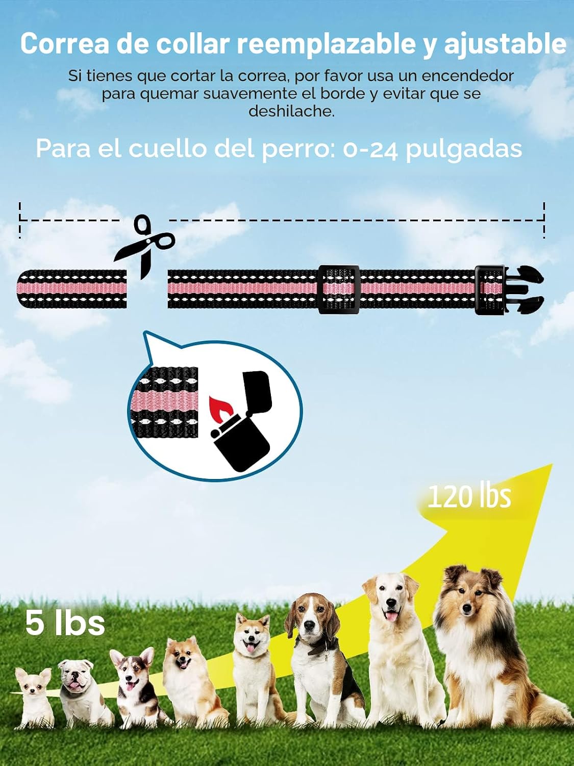 Bousnic Collar de choque para perros 2 perros (5-120 libras) - Coll...