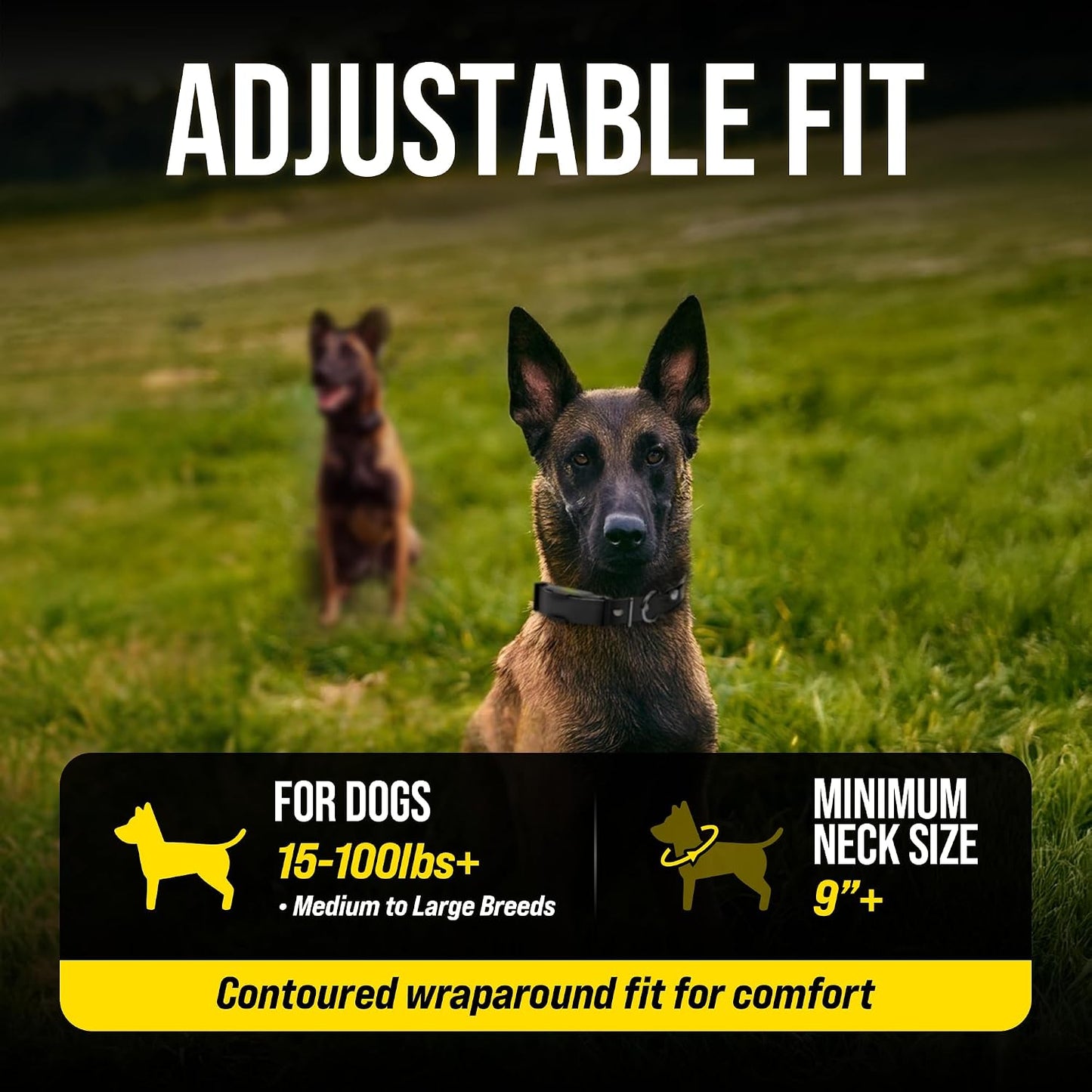 Dogtra ARC-X - Collar electrónico para entrenamiento de perros, ran...