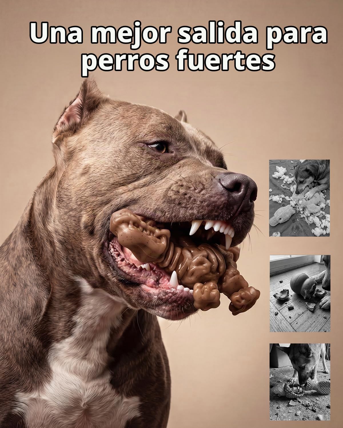 DinoBone Paquete de 2 juguetes masticables para perros resistentes...