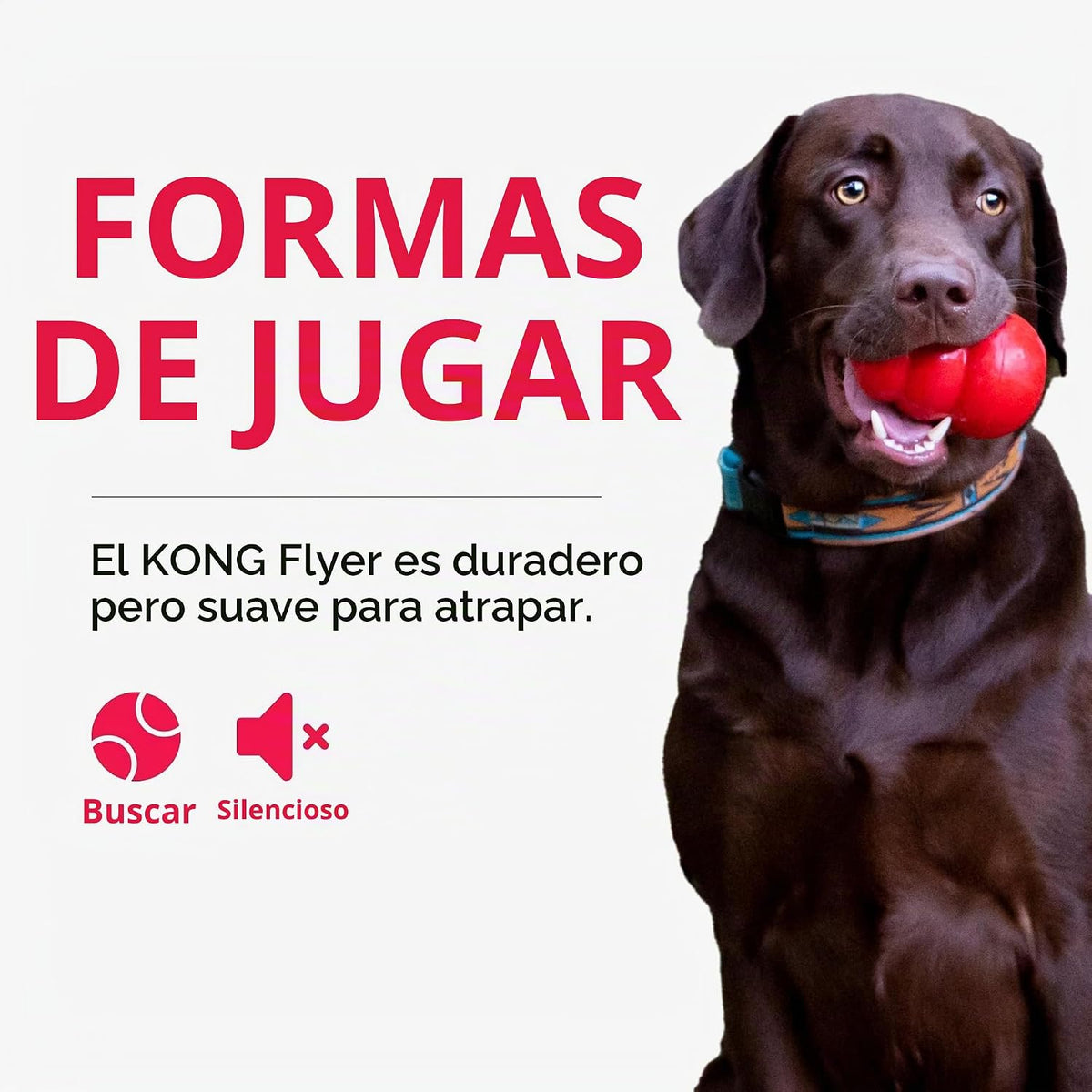 KONG Flyer, disco volador de goma natural, para perros pequeños (pa...