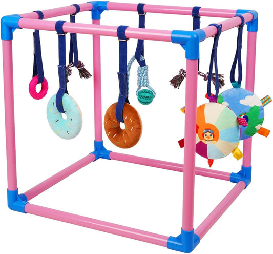 Liitrton Gimnasio de juego para cachorros \u2013 Gimnasio de juego...