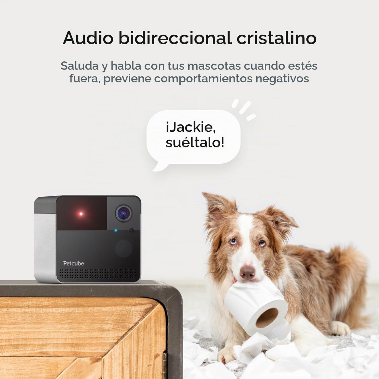 Petcube Play 2 Cámara Wi-Fi para mascotas con juguete láser para ga...