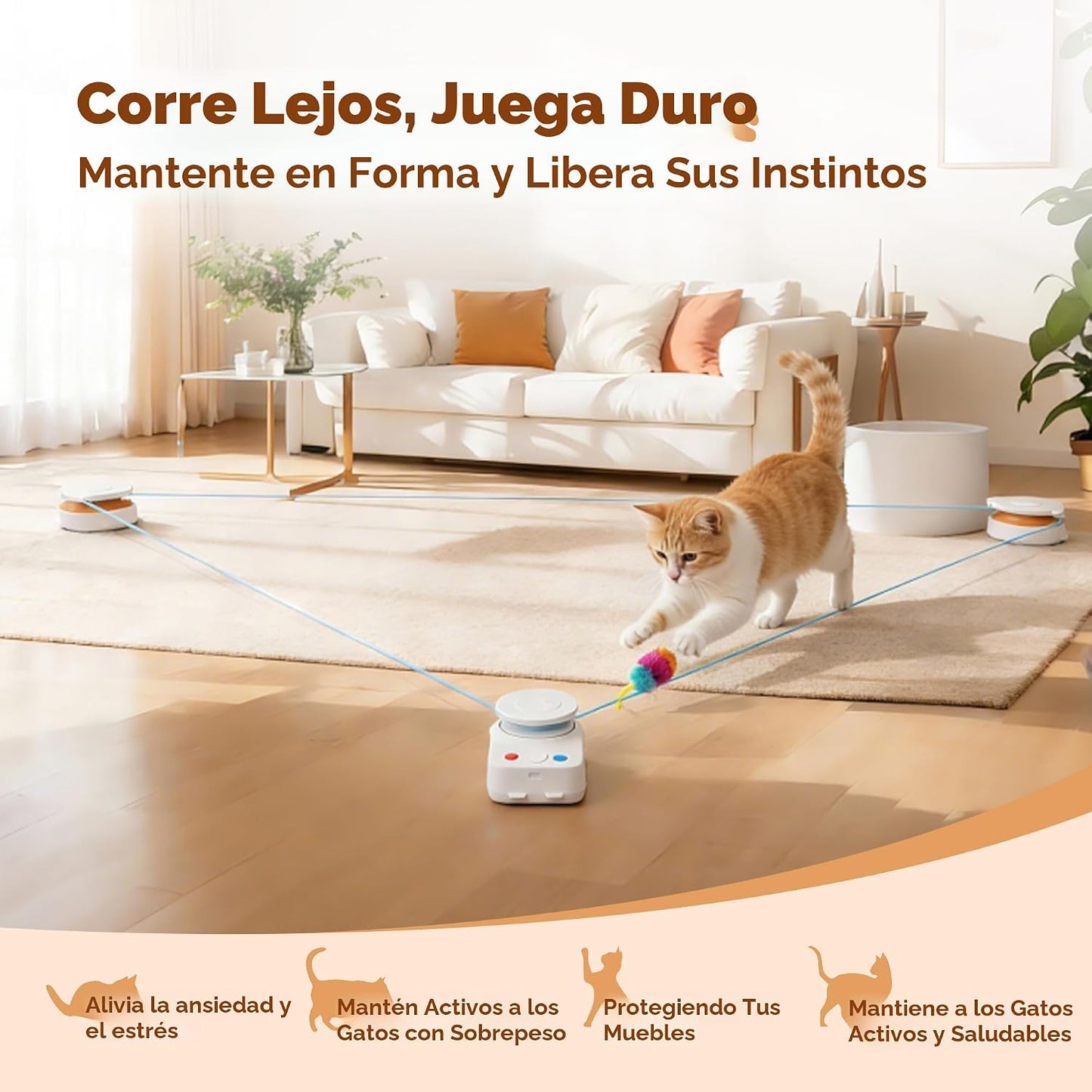 Juguete interactivo para gatos de interior \u2013 Juguete de movimi...