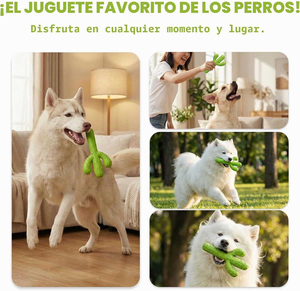 MewaJump Juguetes masticables para perros, juguetes de goma durader...
