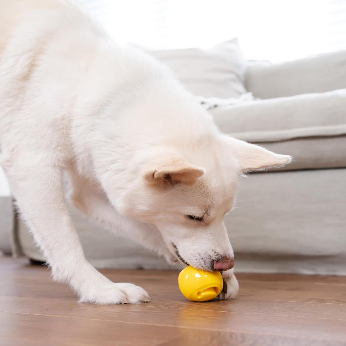 Outward Hound Nooks Happiness - Juguete interactivo y duradero disp...