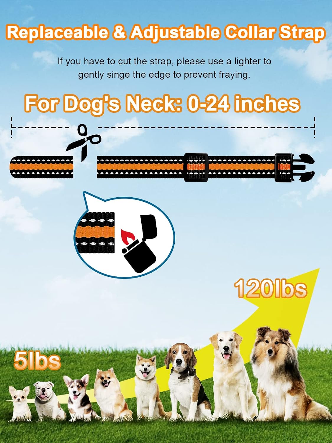 Bousnic Collar de choque para perro, 2 perros (5-120 libras) \u2013...