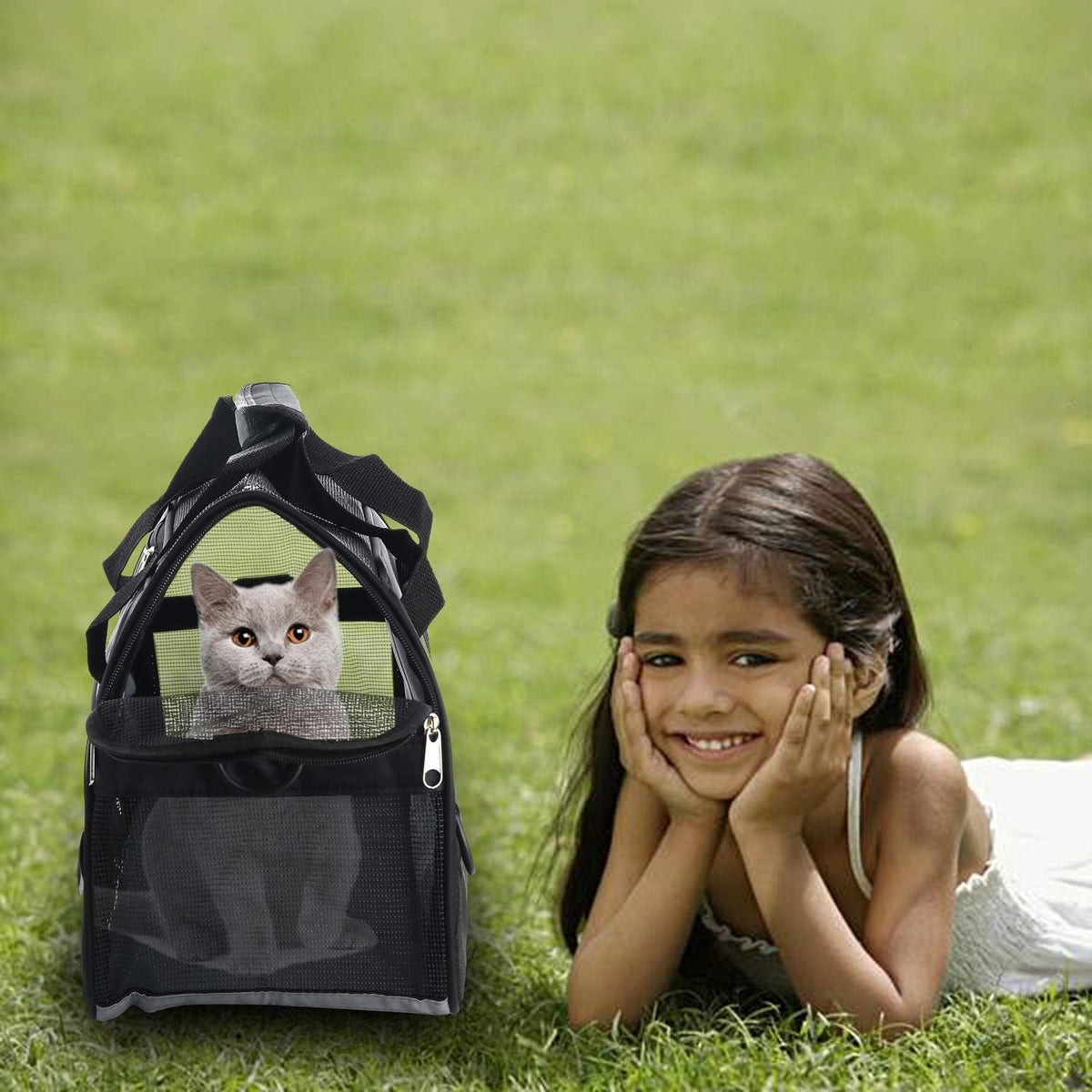 MuchL Transportador de mascotas de lados suaves para gatos, transpo...