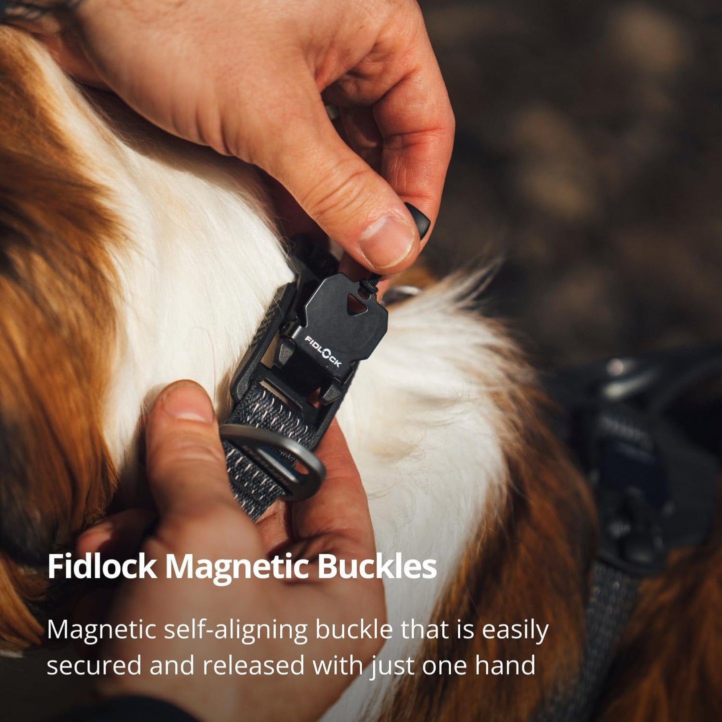 Ruffwear, Ridgeline - Collar para perro, correa reflectante, hebill...