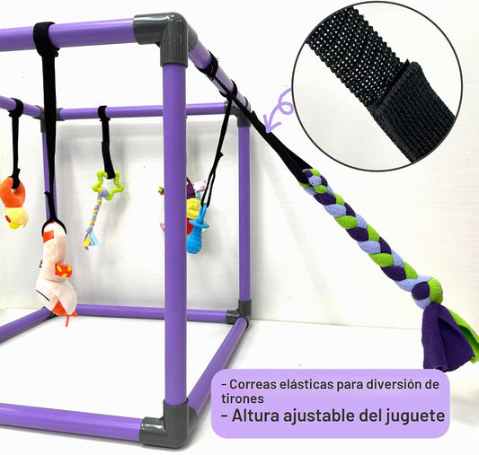 DOZZOPET Gimnasio de Juego para Cachorros para Perros Pequeños con...