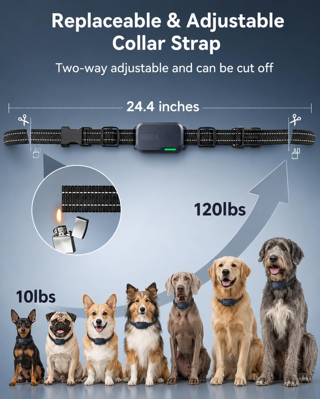 Collar de choque para perros para 2 perros con control remoto, rang...