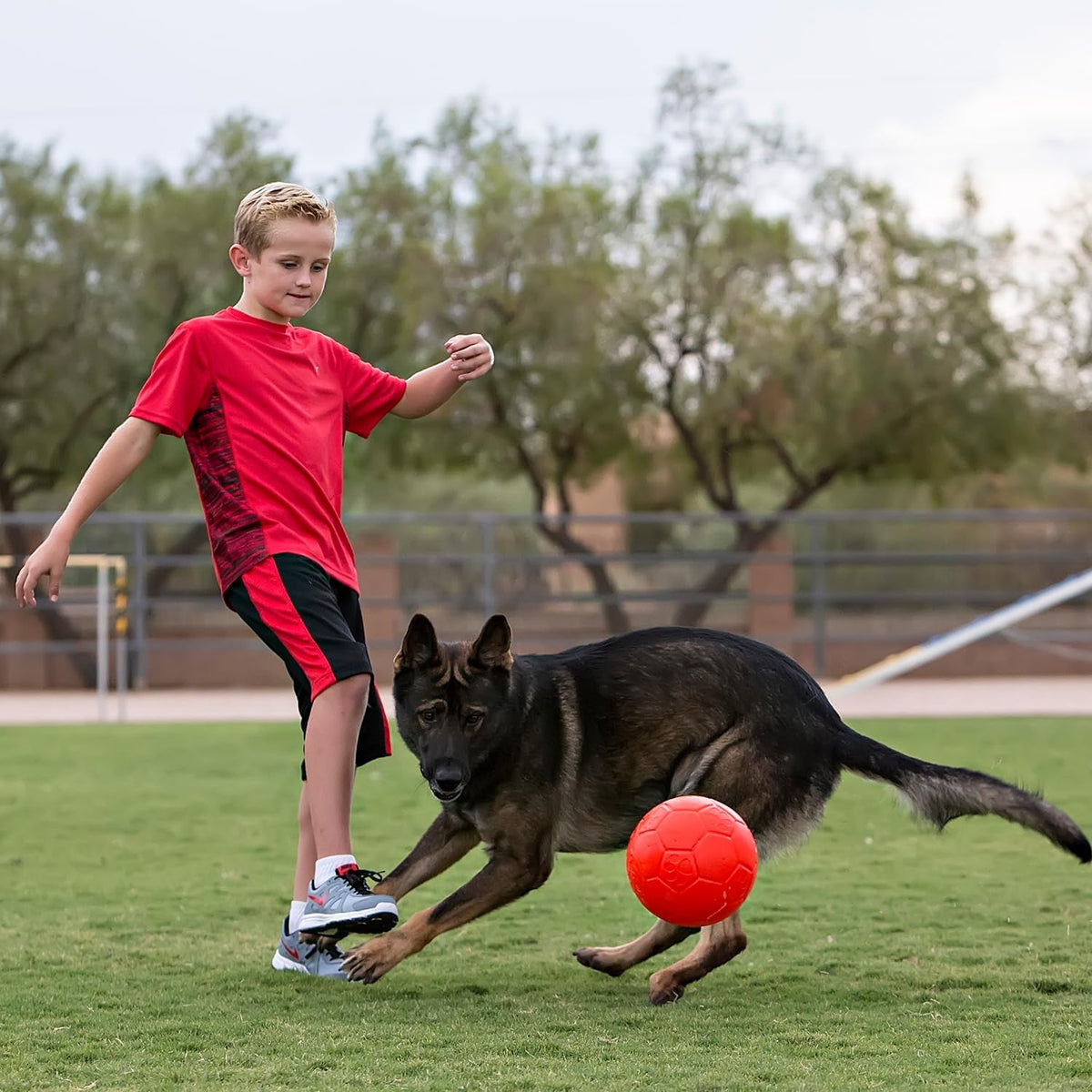 Juguete para perros Jolly Pets de pelota de fútbol flotante y rebot...