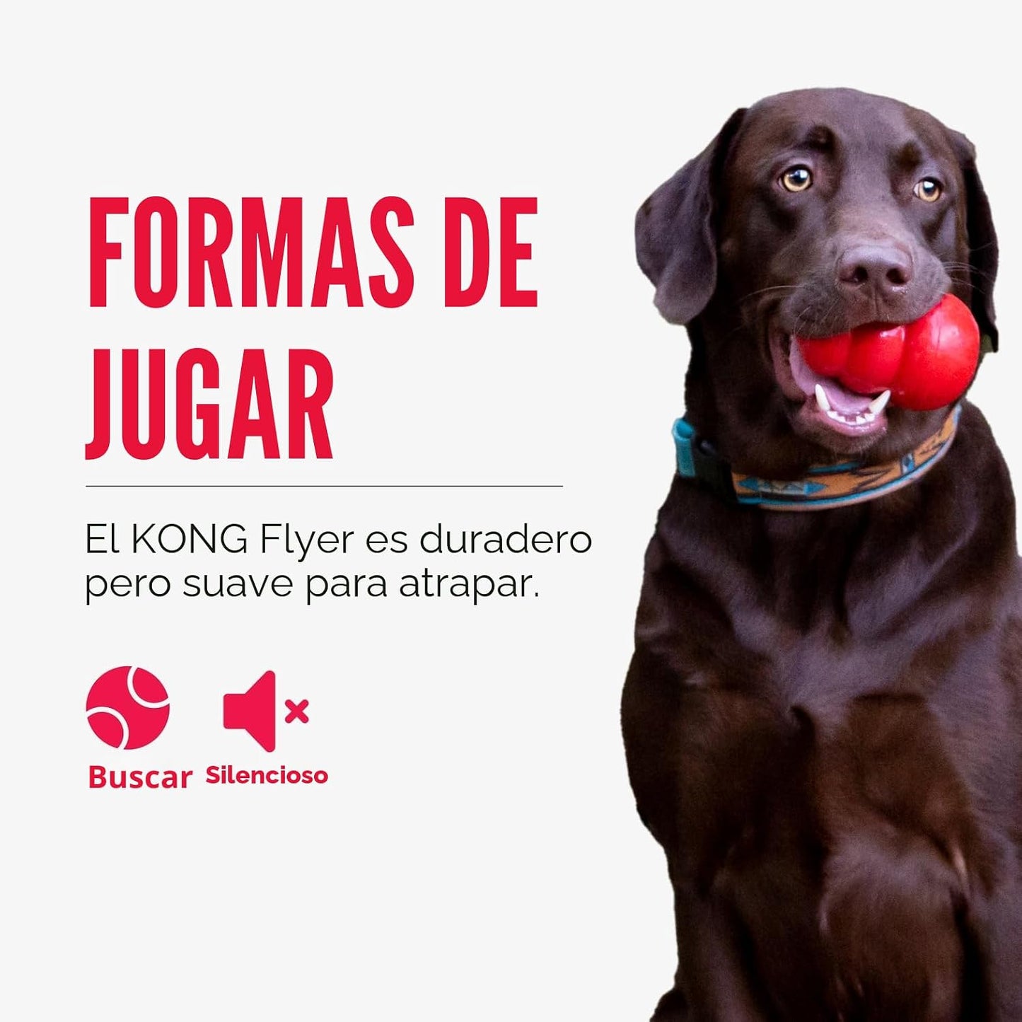KONG Flyer, disco volador de goma natural, juguete para perros medi...