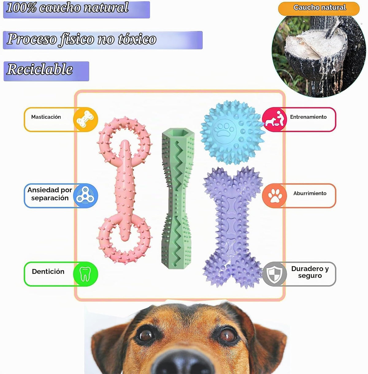 Paquete de 4 juguetes para cachorros de 2 a 8 meses, juguete mastic...