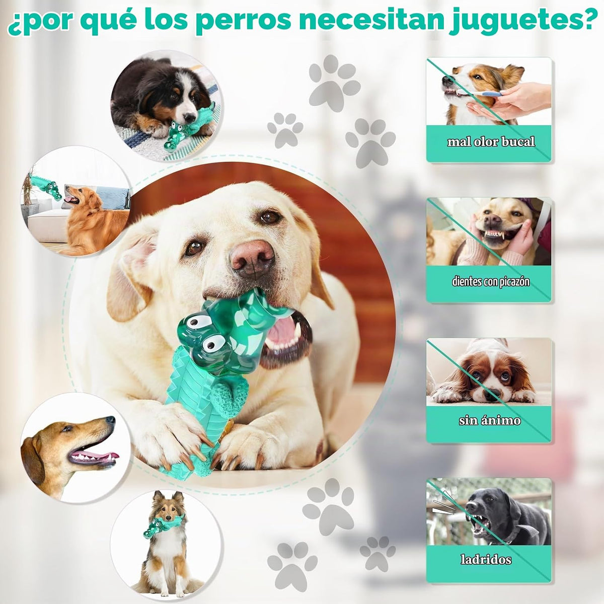 Fuufome - Juguetes masticables para perros masticadores moderados,...