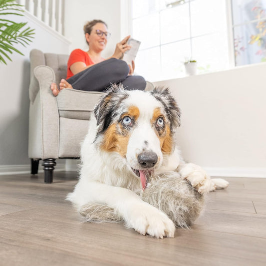 Juguetes de peluche interactivos para perros Hyper Pet Doggie Tail...