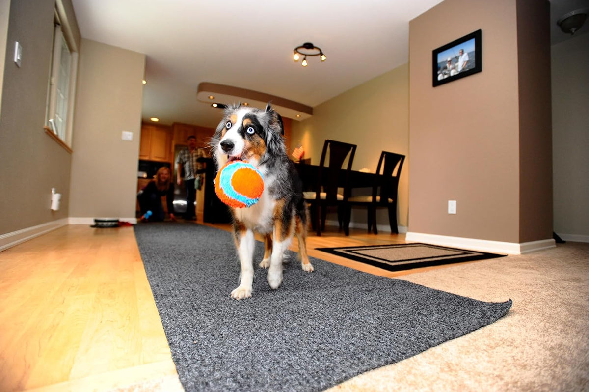 Pelota para interior, Variados | Juguete interactivo para perros di...