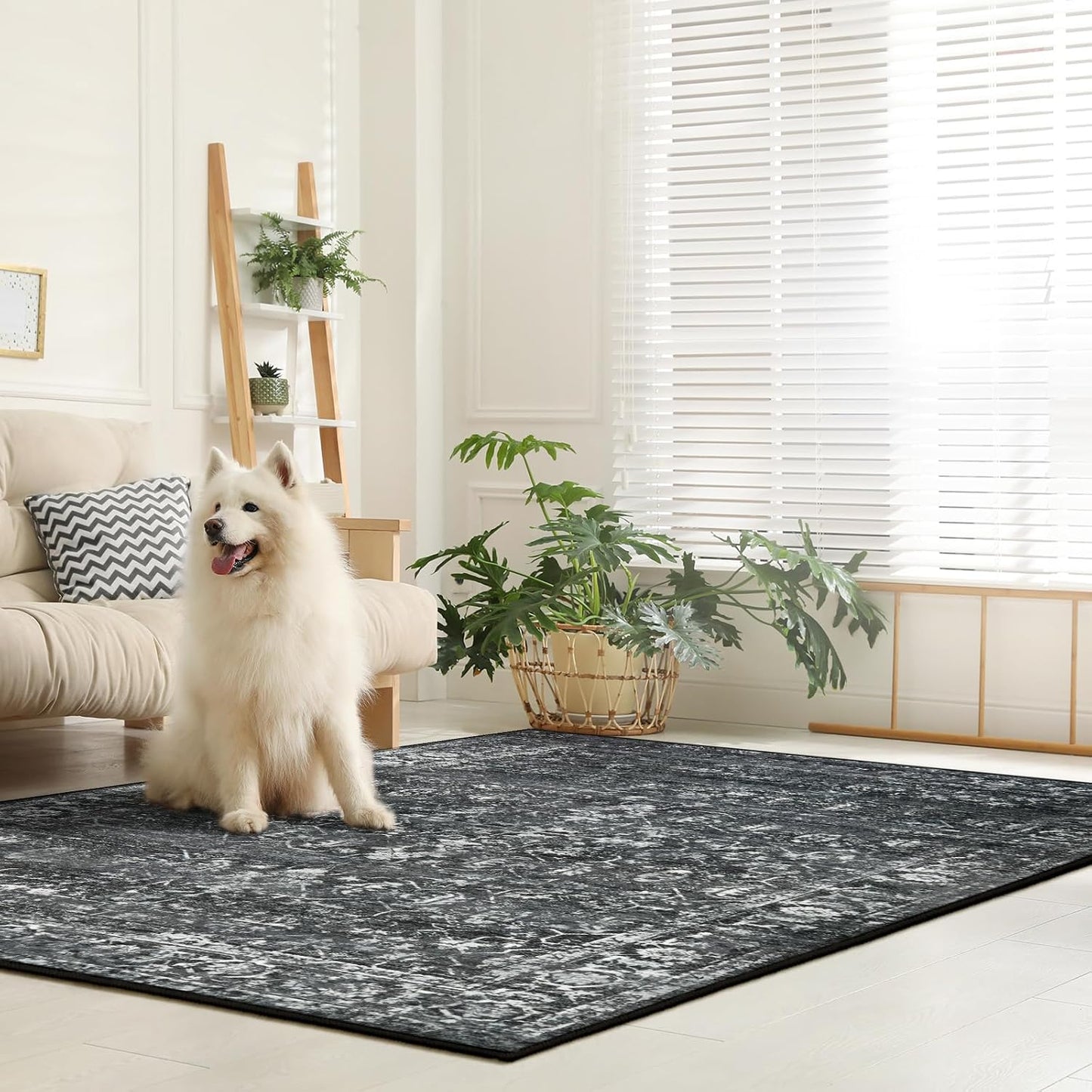 Lahome Alfombras de área de 6 x 9 pies, lavables para dormitorio, a...