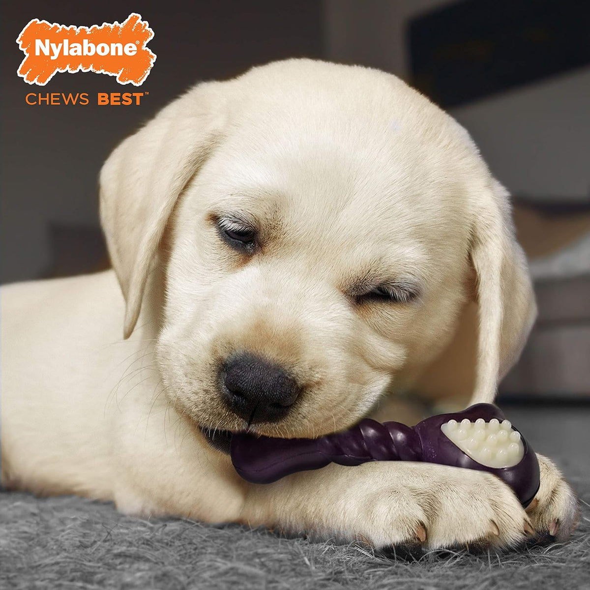 Nylabone - Juguete masticable de doble acción para cachorros, jugue...