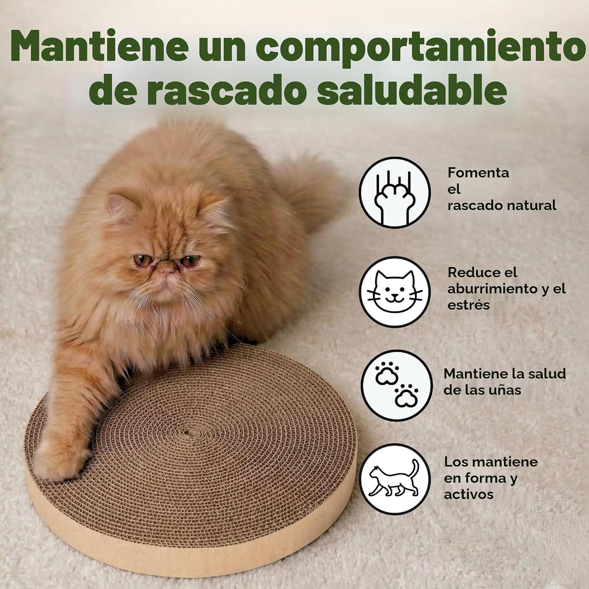 Best Pet Supplies Catify Rascador para Gatos, Rascadores Interactiv...