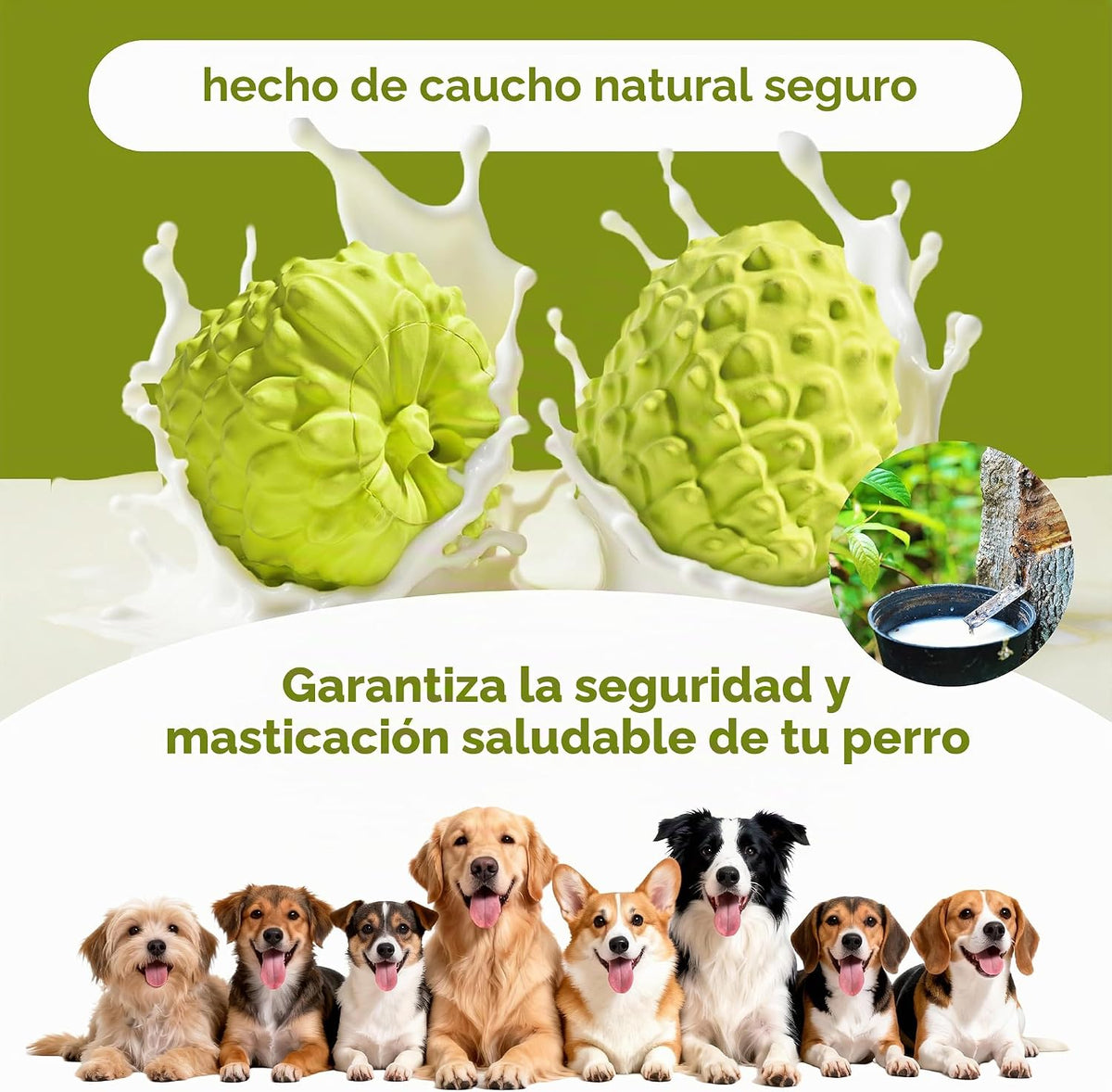 MewaJump Juguetes Chirriantes para Perros Masticadores Agresivos, J...