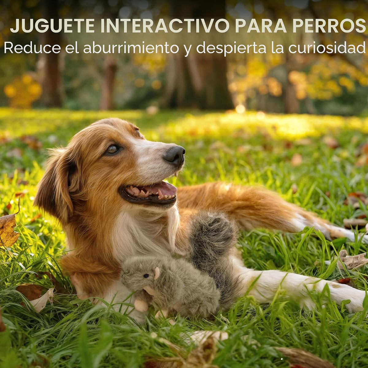 ALL FOR PAWS Juguetes clásicos para mascotas de ardilla, pequeños