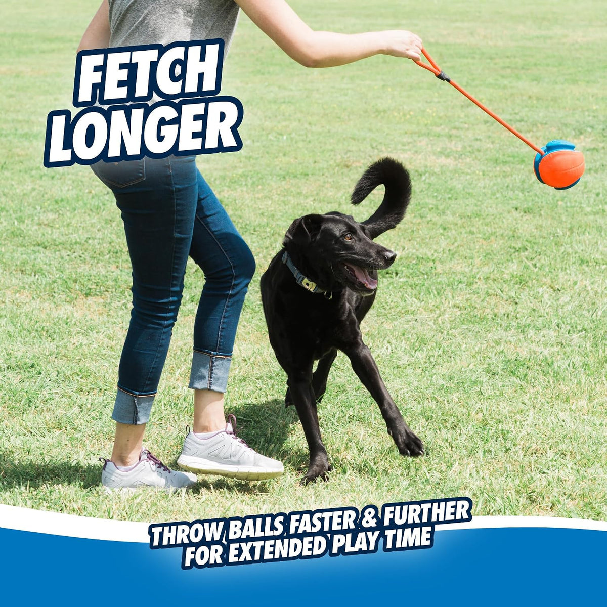 Chuckit! Juguete de cuerda para perros - Bola en cuerda para buscar...