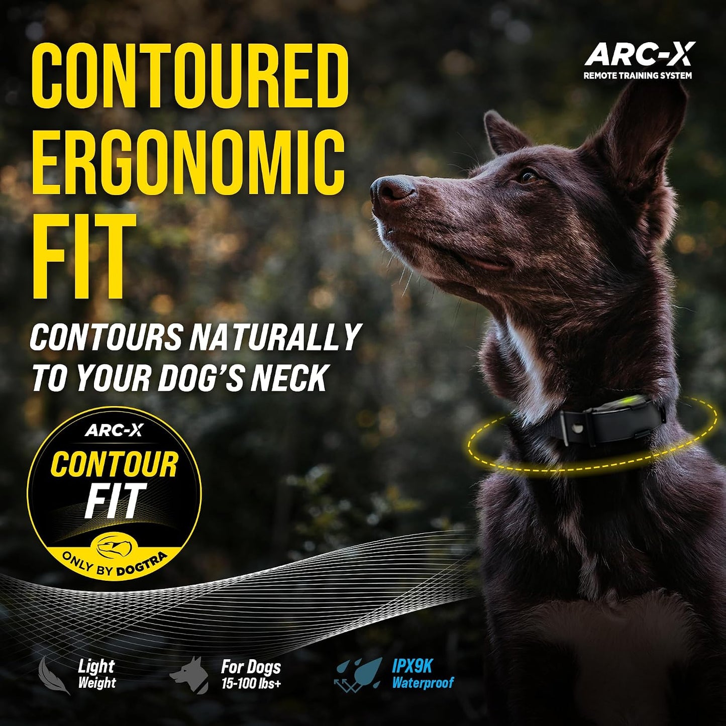 Dogtra ARC-X - Collar electrónico para entrenamiento de perros, ran...