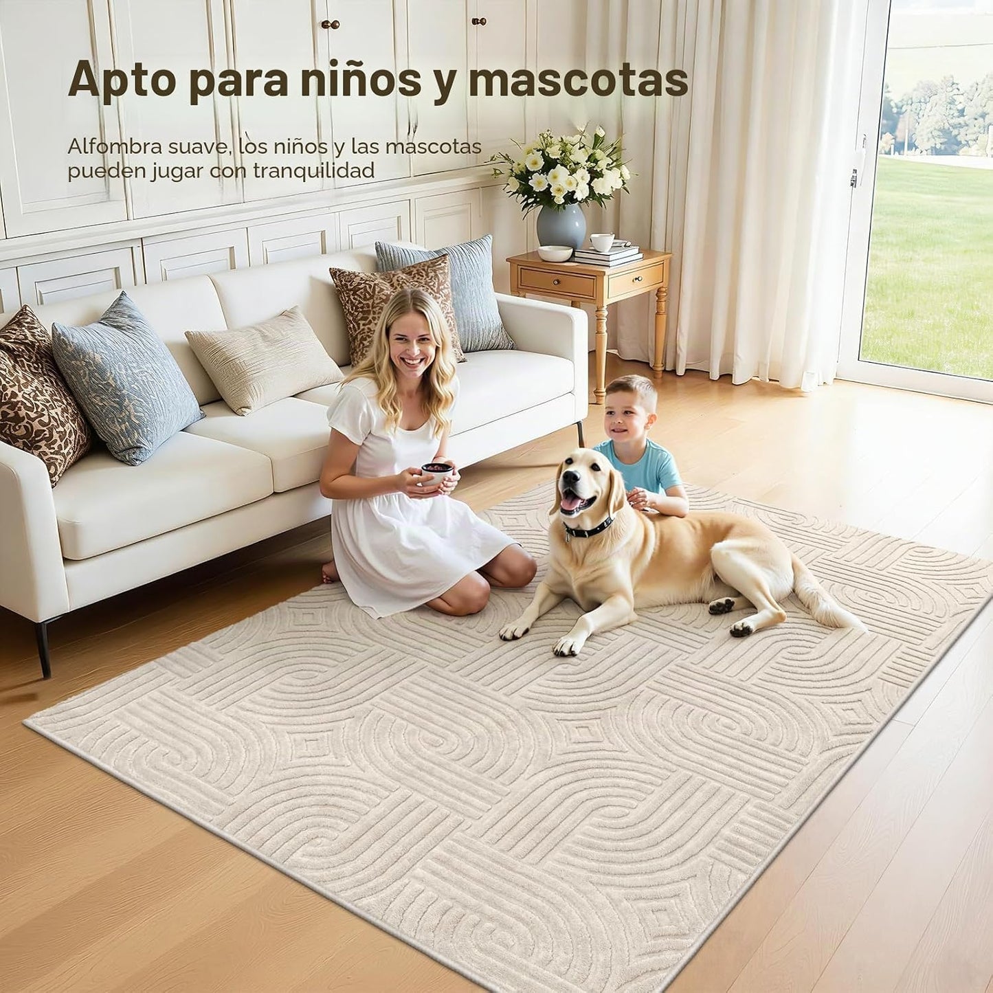 Pauwer Alfombras lavables para sala de estar, de 5 x 7 pies, modern...