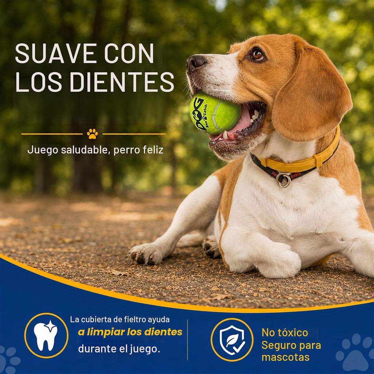 Pelotas de tenis para perros INSUM, paquete de 12 pelotas coloridas...