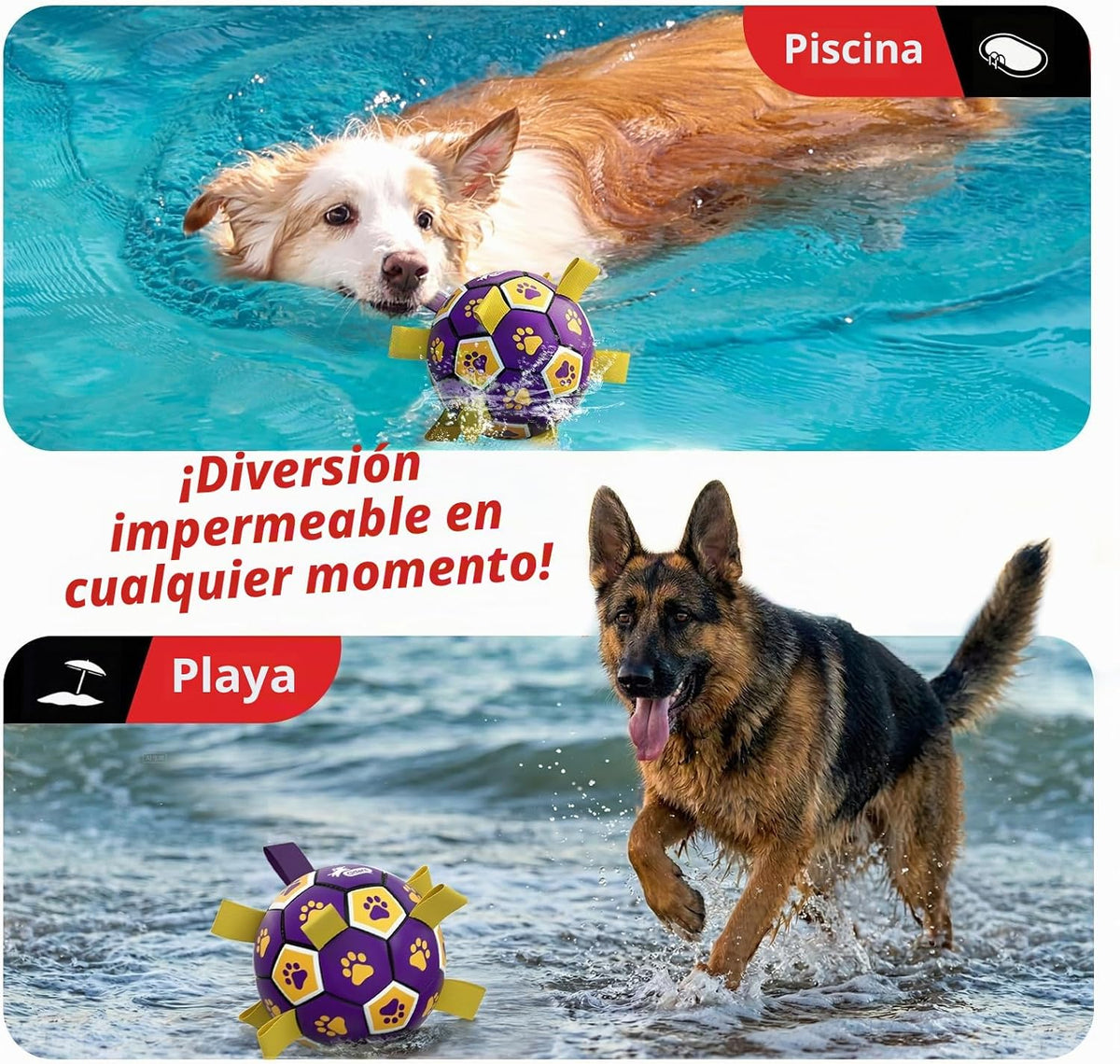 QDAN - Pelota de fútbol de juguete para perros, pelotas duraderas c...
