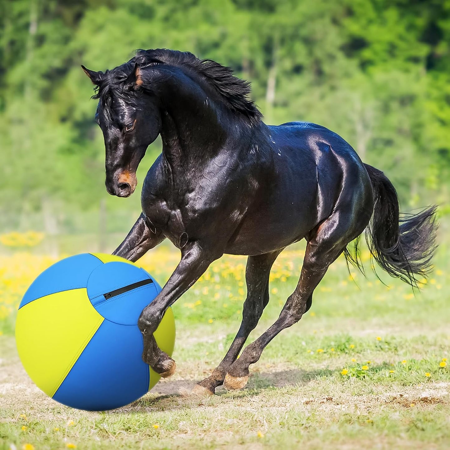 Pelota de pastoreo para perros y caballos, bola alegre de 18 pulgad...