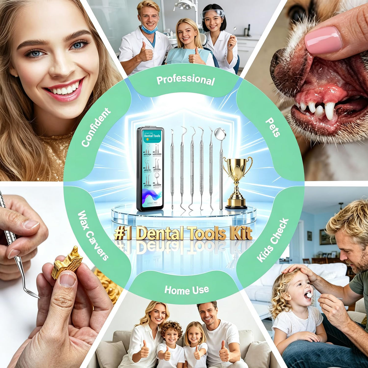 CATACC PRO Herramientas dentales, palillo dental para limpieza de d...