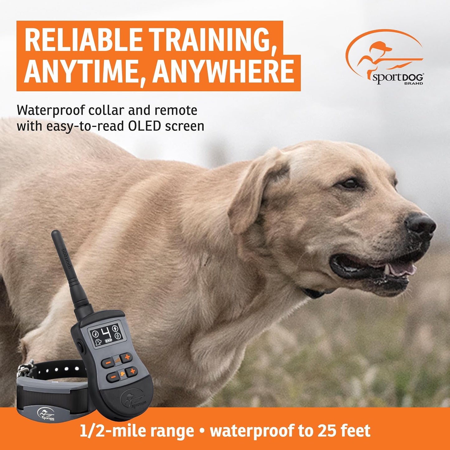 SportDOG SportTrainer - Entrenador remoto - Control fiable fuera de...