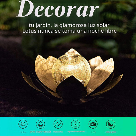 AIINY Luz solar de jardín al aire libre (paquete de 2), decoración...