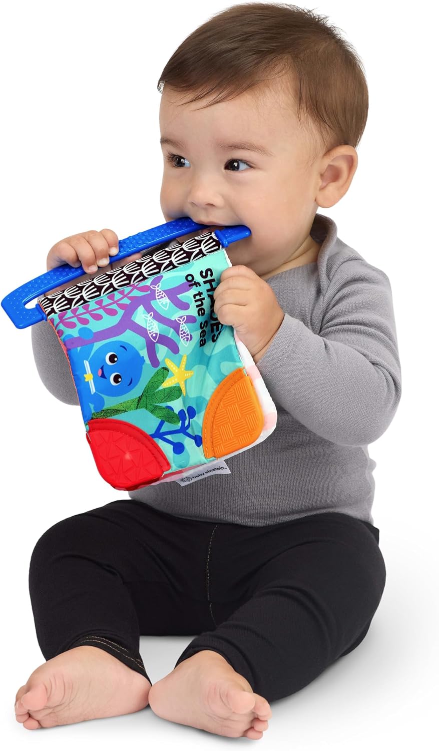 Baby Einstein Ocean Explorers - Libro de mordedores, Shades of the...