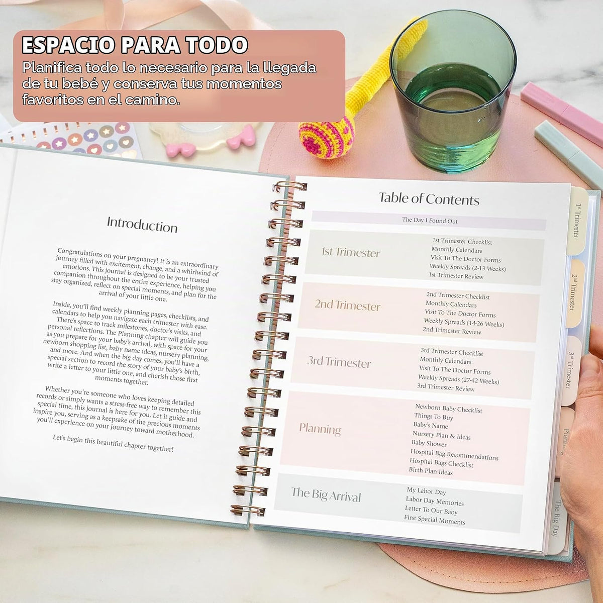Skyline Diario Planificador de Embarazo \u2013 Libro de registro de...