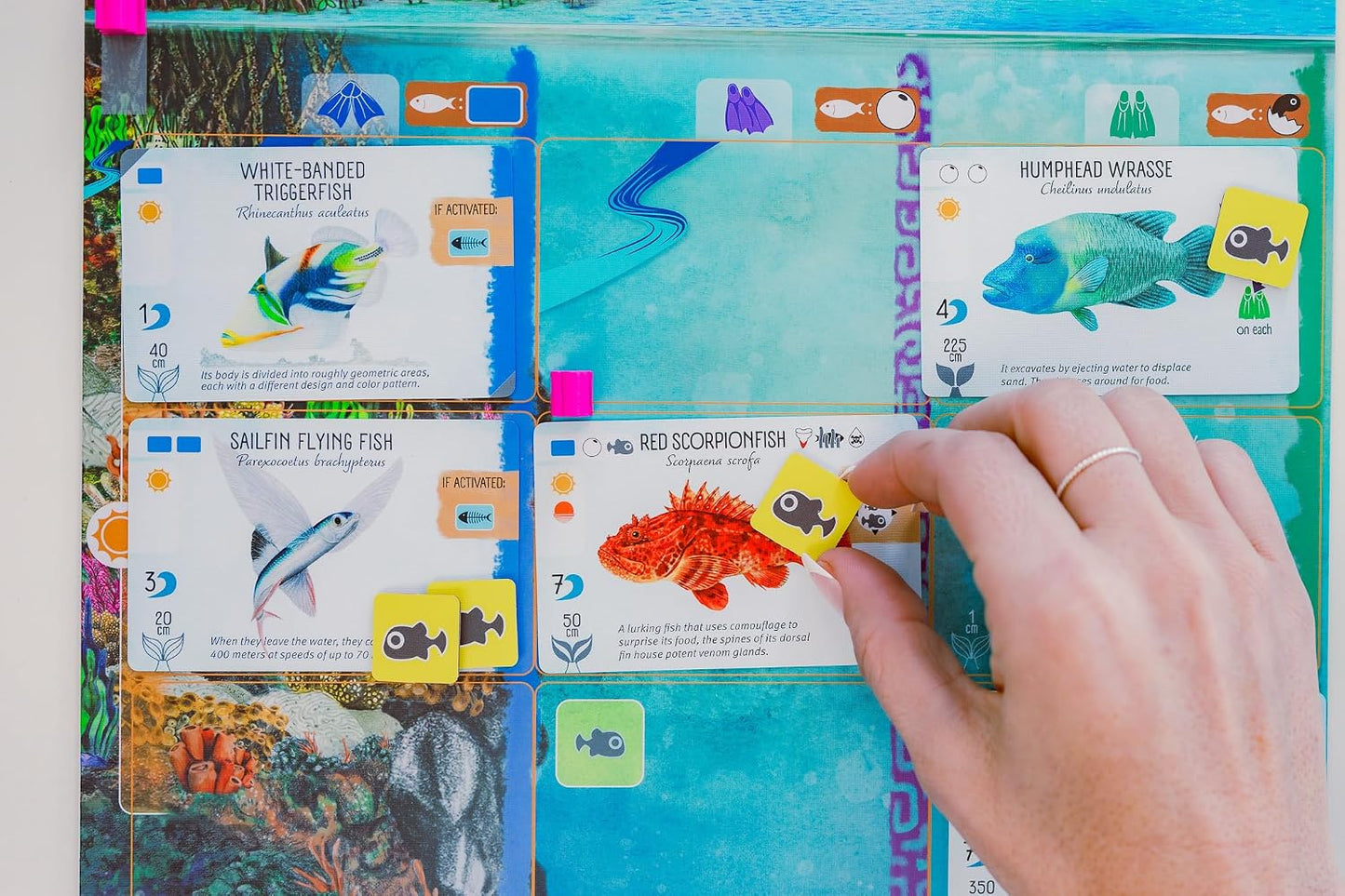 Stonemaier Games: Finspan - Un juego de Wingspan de David Gordon y...