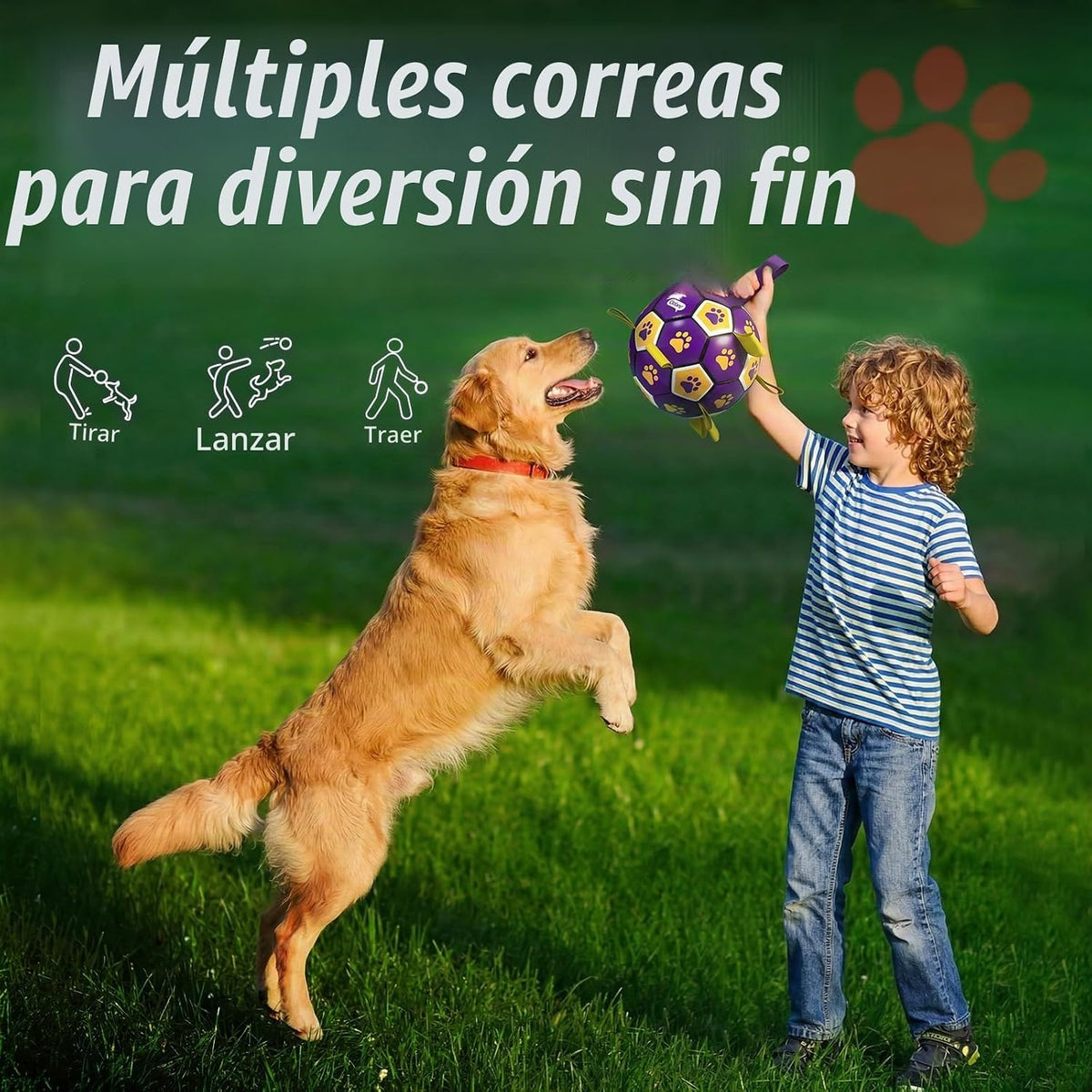 QDAN - Pelota de fútbol de juguete para perros, pelotas duraderas c...