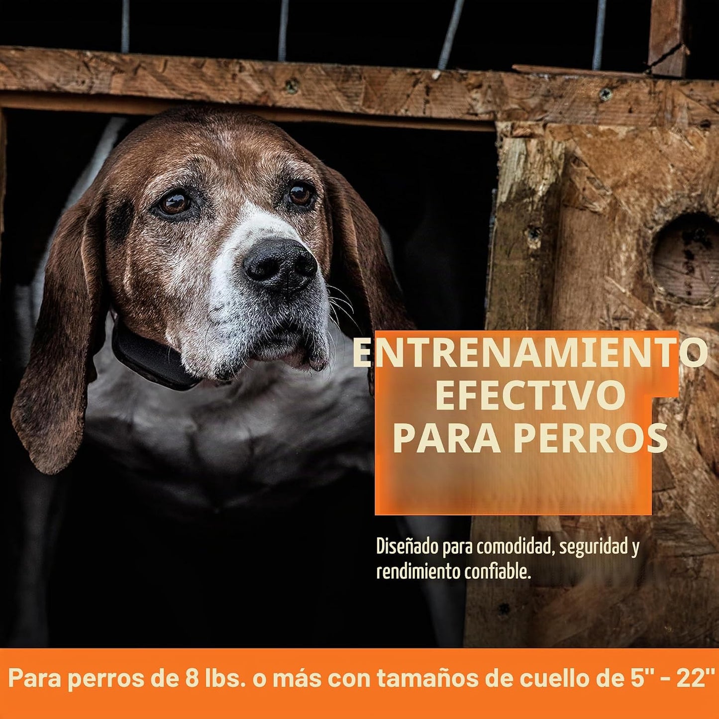 Collar SportDOG Brand NoBark 10, collares para ladridos de perro, r...