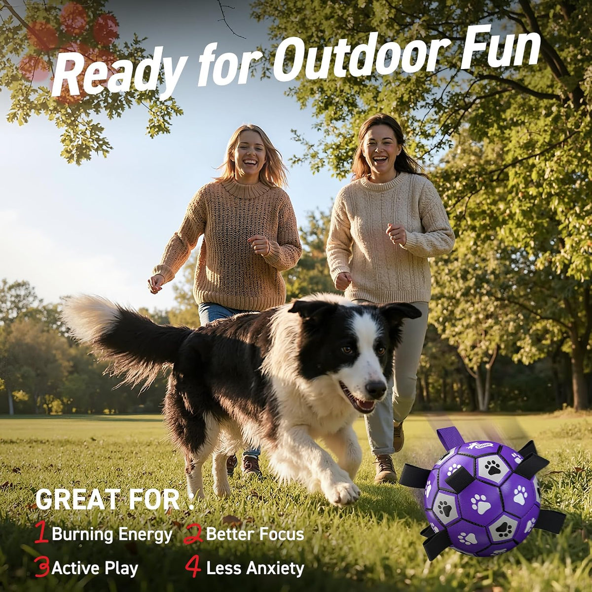 QDAN - Pelota de fútbol para perros - Bolas duraderas grandes para...