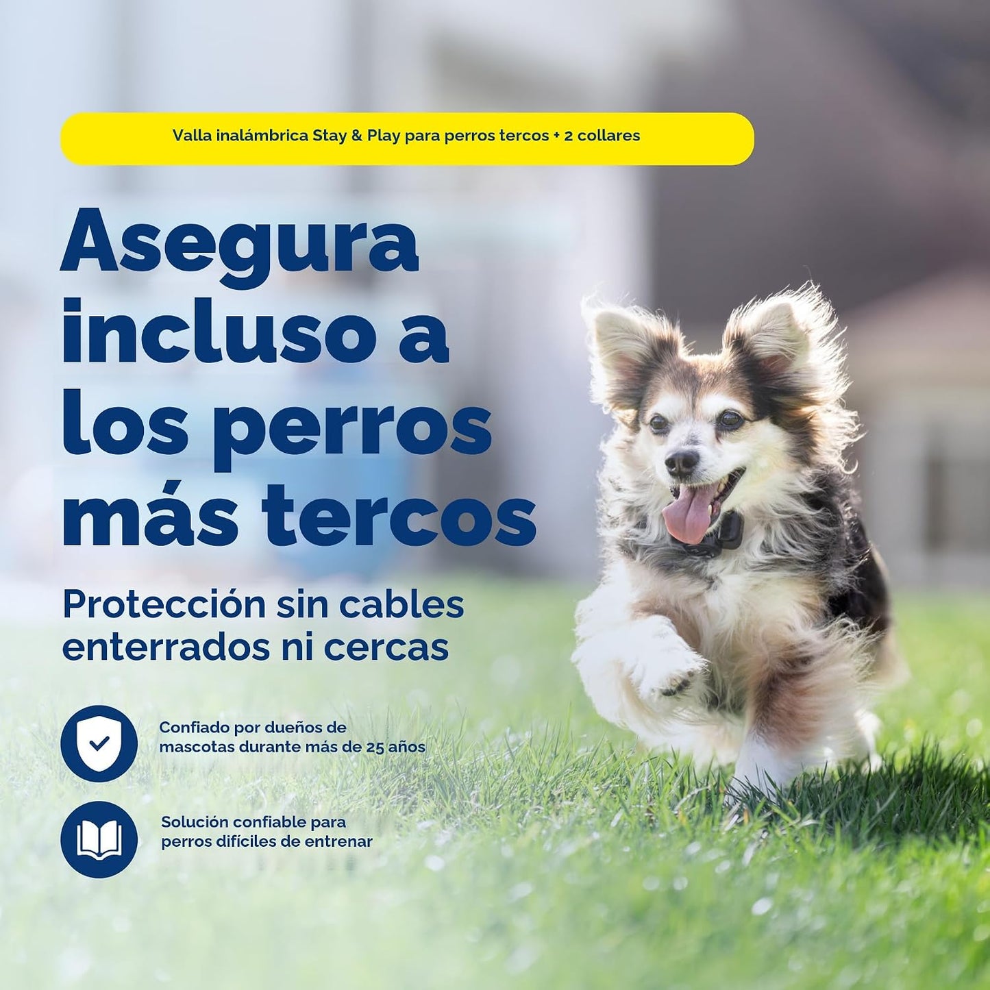 PetSafe Stay &amp; Play - Valla inalámbrica para 2 perros obstinado...