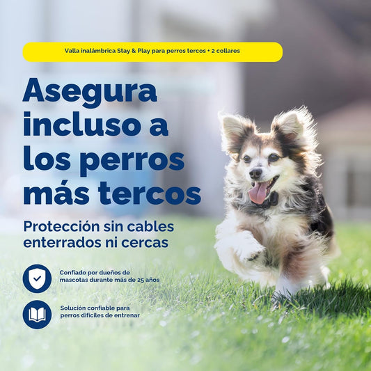 PetSafe Stay &amp; Play - Valla inalámbrica para 2 perros obstinado...