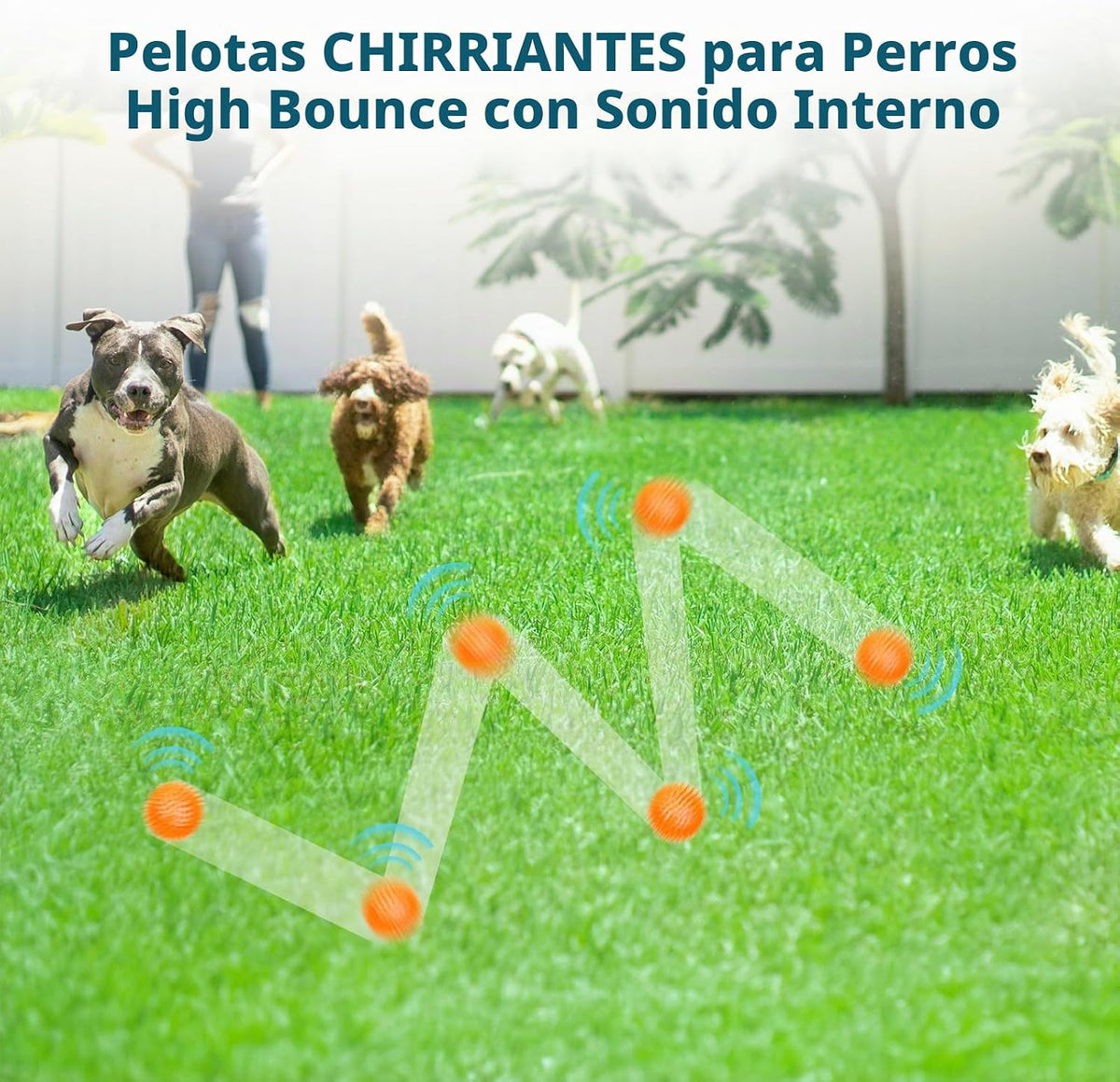 SHARLOVY Pelotas Chirriantes de 3'' para Perros Pequeños, P...