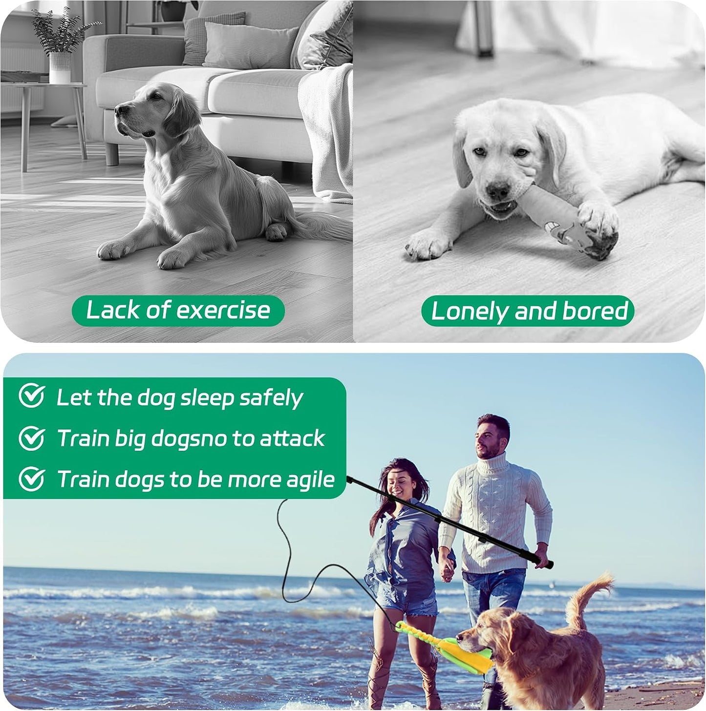AmaCielo Palo de Flirt para Perros, Juguetes Interactivos de Tira y...