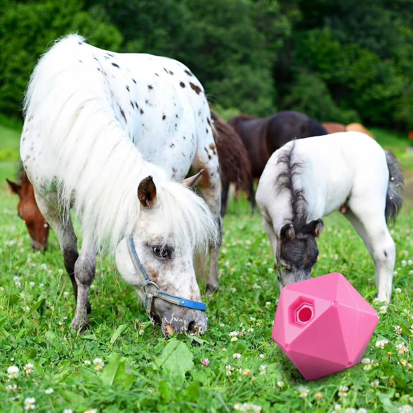 Seenelling Paquete de 1 bola de golosinas para caballos, juguete |...