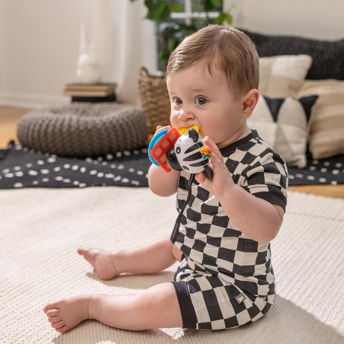 Baby Einstein Shake-a-Shape - Juguete mordedor zen, multisensorial,...